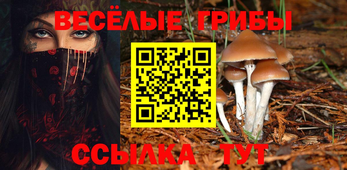 Галлюциногенные грибы Cubensis Губкинский