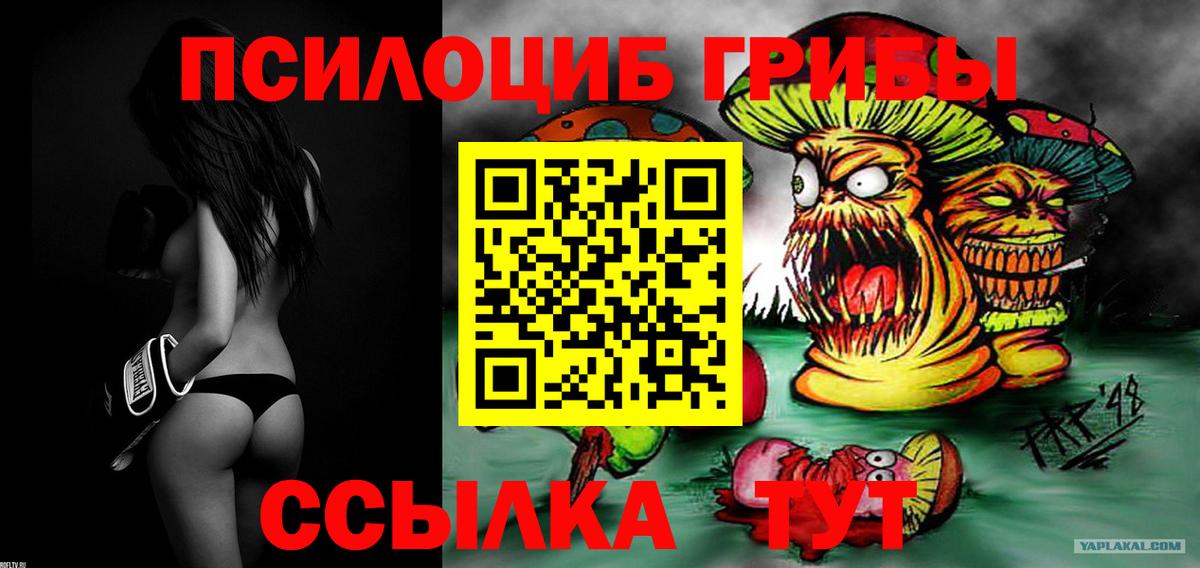 Галлюциногенные грибы MAGIC MUSHROOMS  Вход с VPN  Губкинский  Псилоцибиновые грибы мицелий 